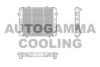 AUTOGAMMA 100698 Radiator, engine cooling